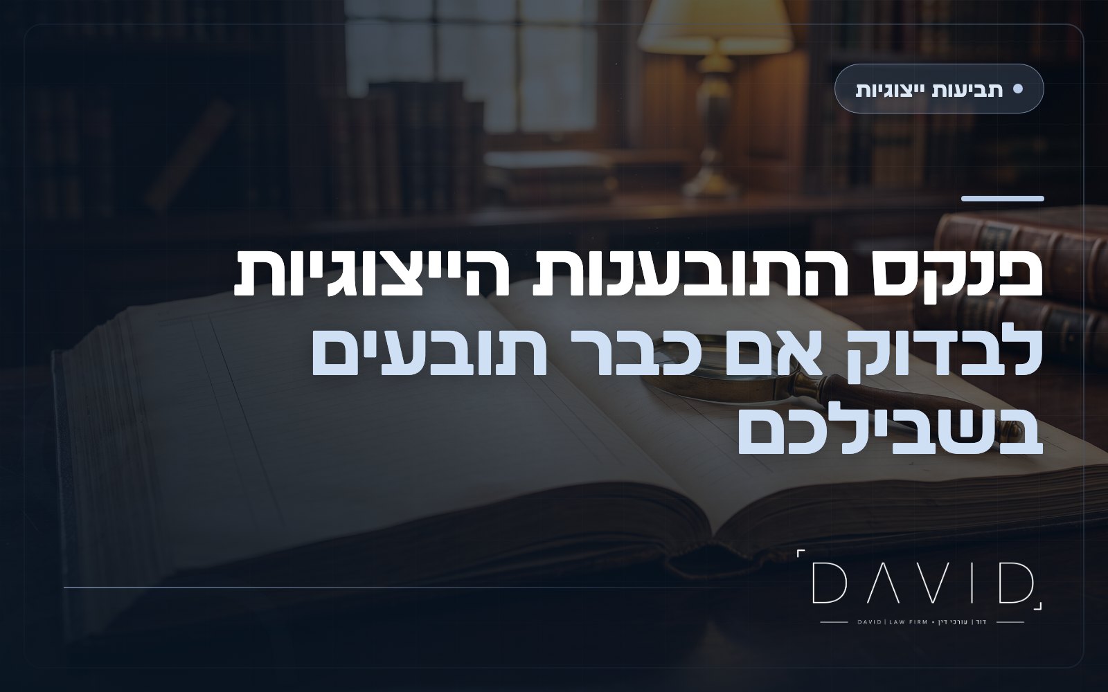 פנקס התובענות הייצוגיות: איך בודקים אם כבר תובעים בשבילכם