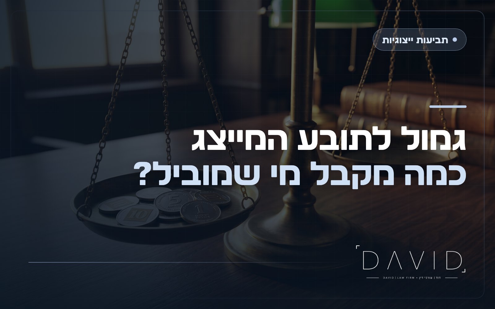 גמול לתובע מייצג: כמה באמת מקבל מי שמוביל תביעה ייצוגית