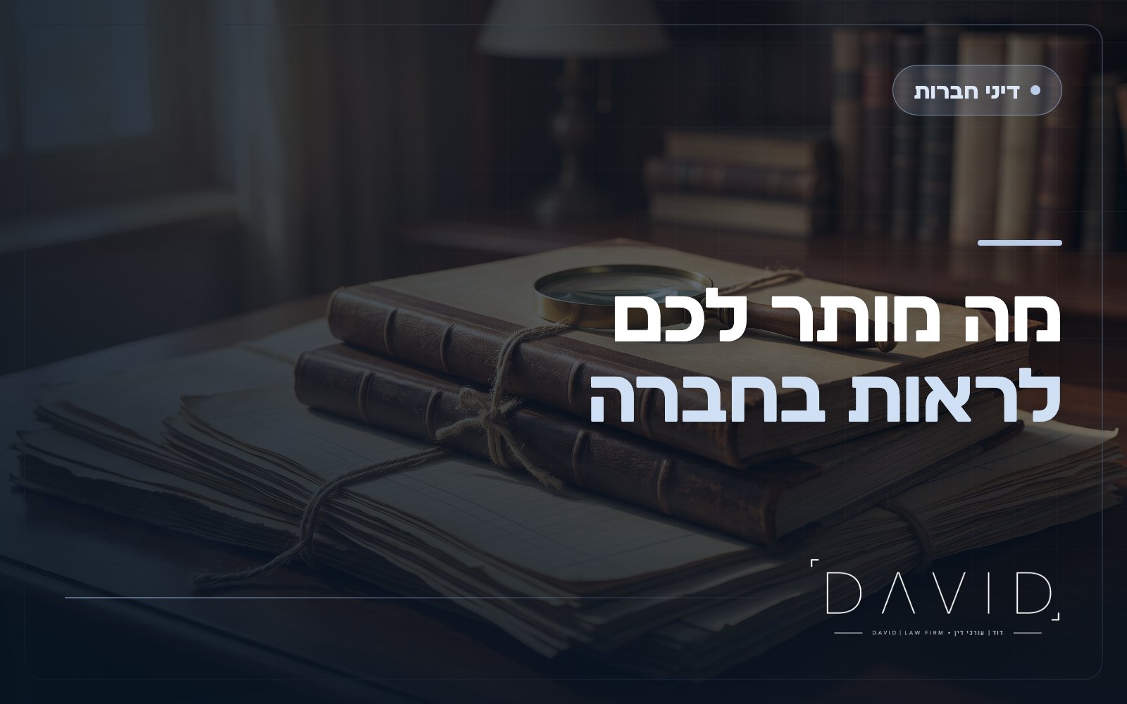 זכות העיון של בעל מניות: מה מותר לכם לראות בספרי החברה